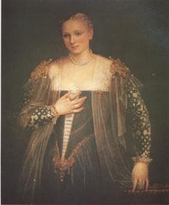 VERONESE (Paolo Caliari) La Belle Nani(Portrait of a Woman) (mk05) oil painting image